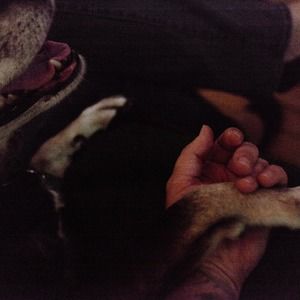 Meet your Posher, Claire